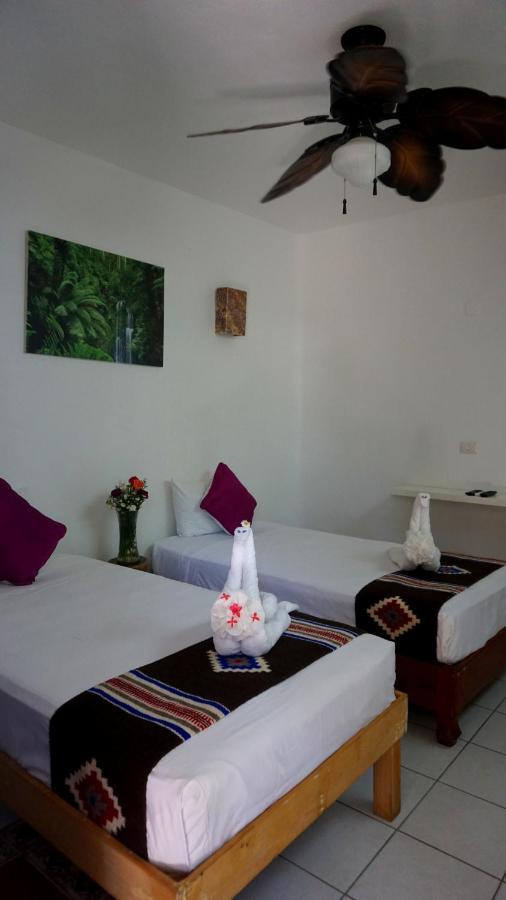 Selva Y Mar Apart Hotel Playa del Carmen Exterior foto